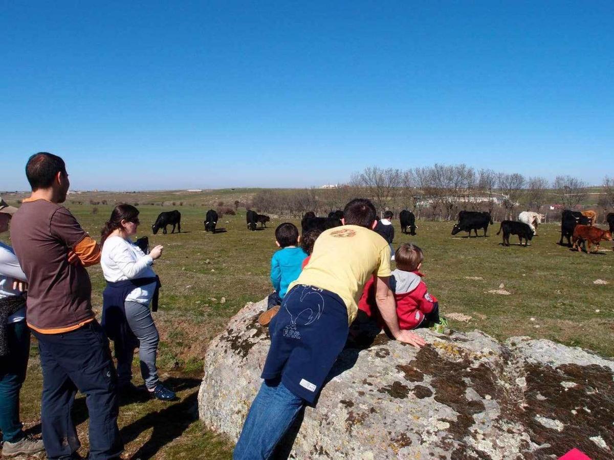 Agroturismo El Mirador De La Cigueena Cabanillas del Monte المظهر الخارجي الصورة