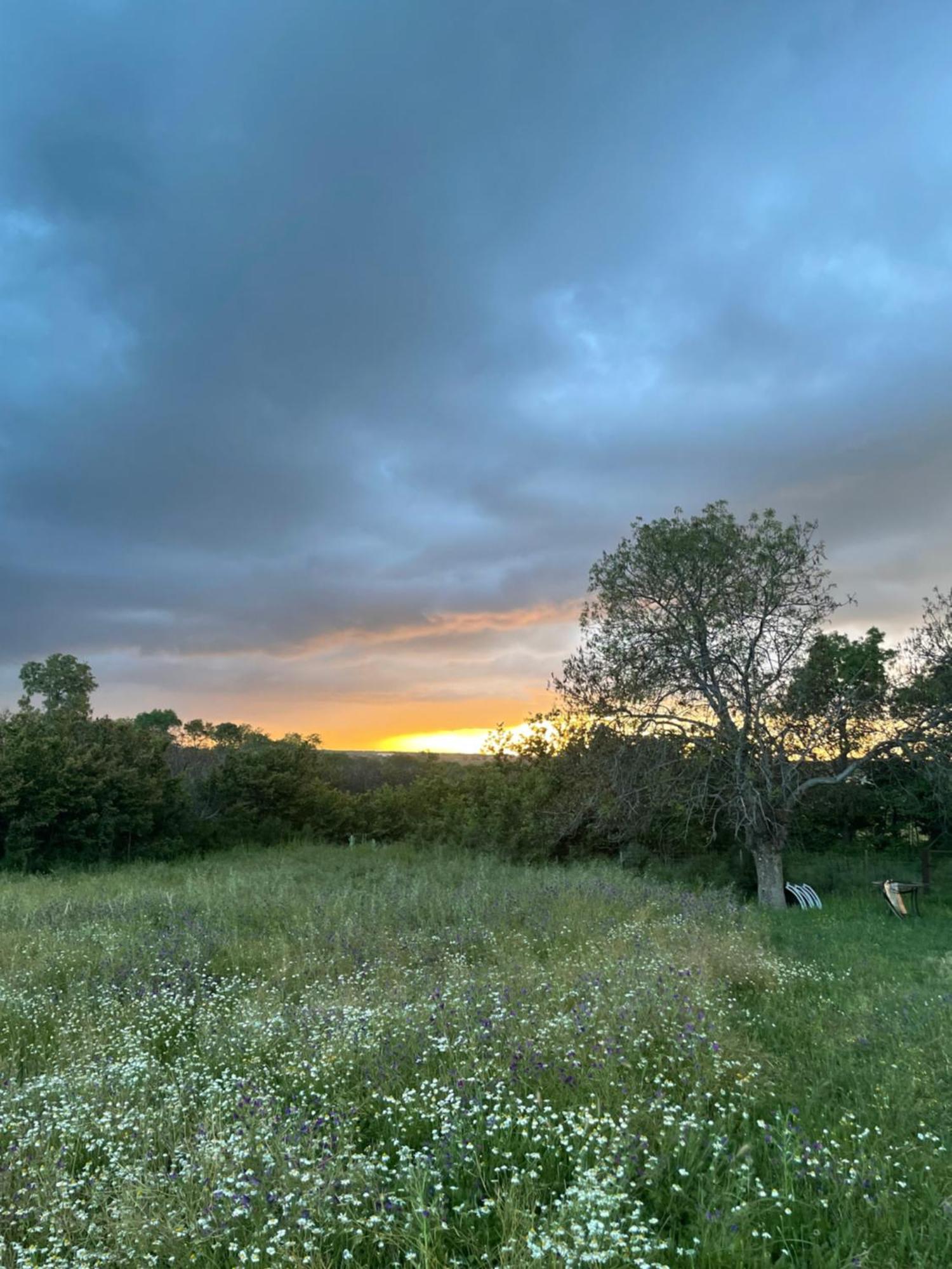 Agroturismo El Mirador De La Cigueena Cabanillas del Monte المظهر الخارجي الصورة